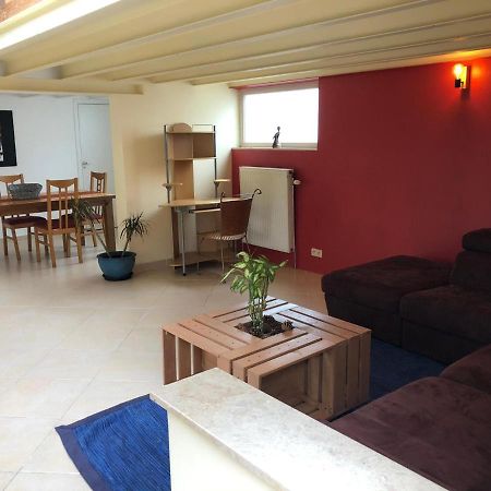 Home Sweet Home In The Green Lung Of Brussels 호에일라르트 외부 사진