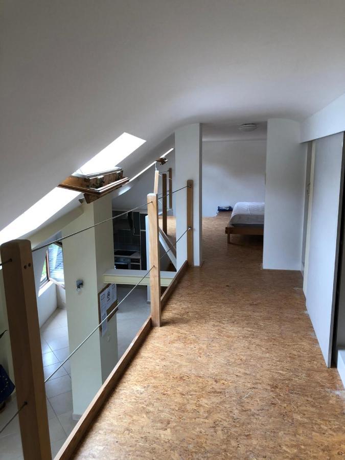 Home Sweet Home In The Green Lung Of Brussels 호에일라르트 외부 사진